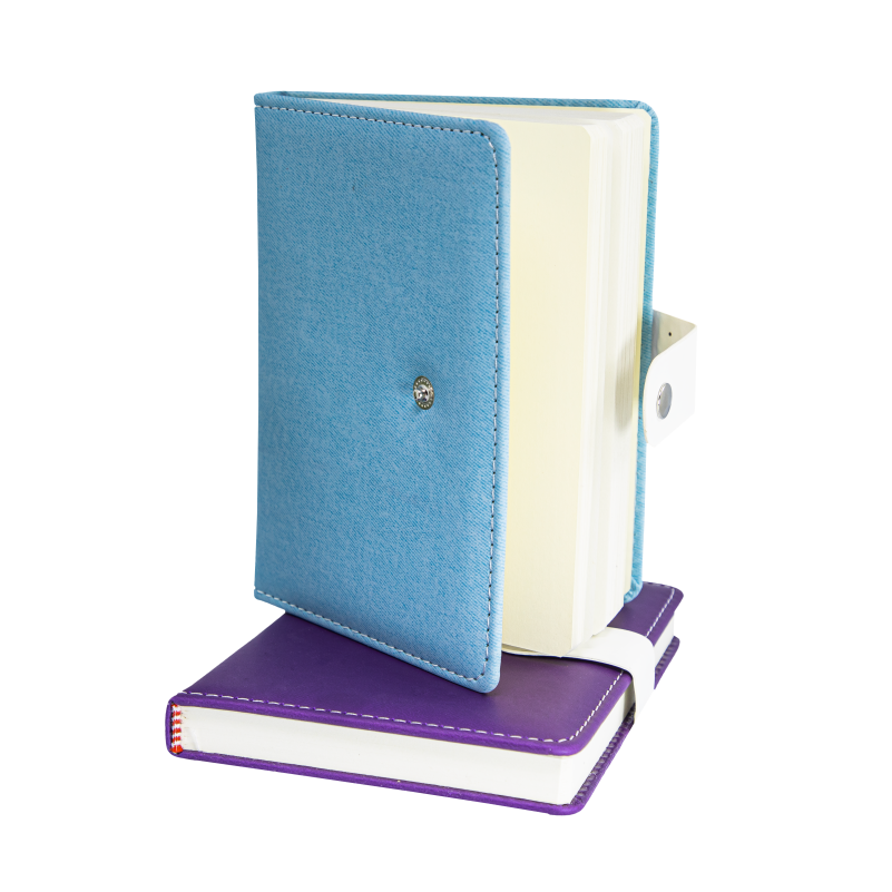 Mini Agenda